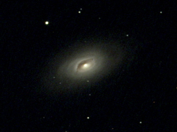 λ